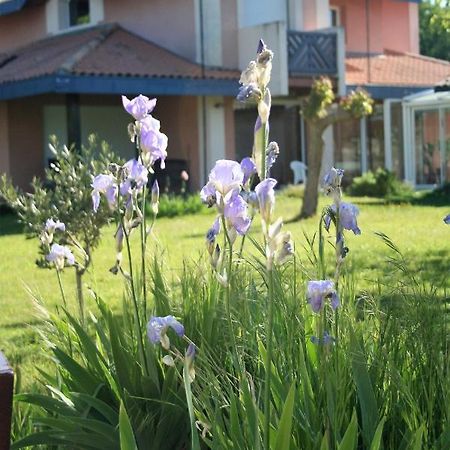Villa Helianthe Однж Екстер'єр фото