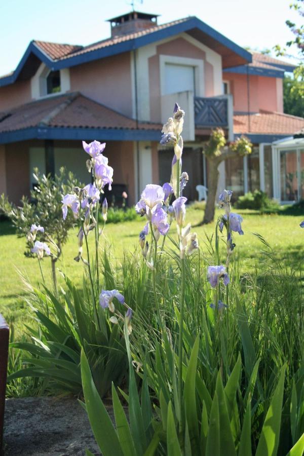 Villa Helianthe Однж Екстер'єр фото